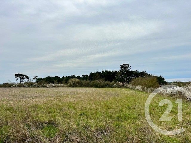 Terrain &agrave; vendre - 274 m2 - Givrand - 85 - PAYS-DE-LOIRE