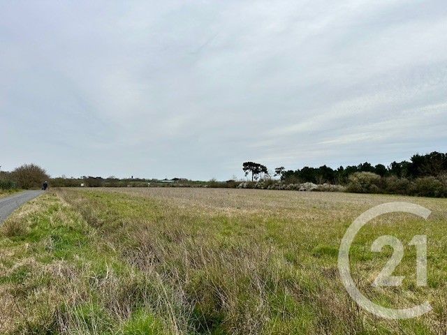 Terrain à vendre GIVRAND