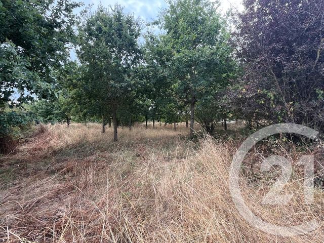 Terrain &agrave; vendre - 800 m2 - Le Fenouiller - 85 - PAYS-DE-LOIRE