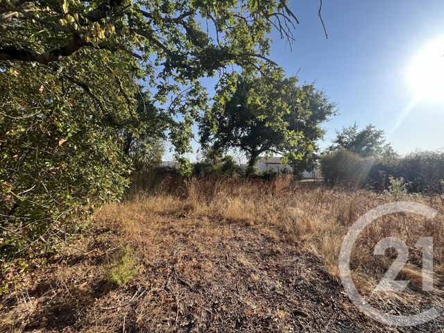 Terrain &agrave; vendre - 464 m2 - Commequiers - 85 - PAYS-DE-LOIRE
