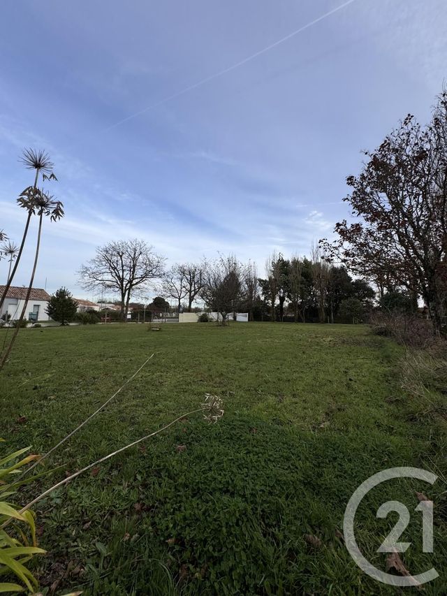 Terrain à vendre - 411 m2 - Le Fenouiller - 85 - PAYS-DE-LOIRE