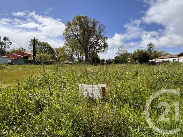 terrain - L AIGUILLON SUR VIE - 85