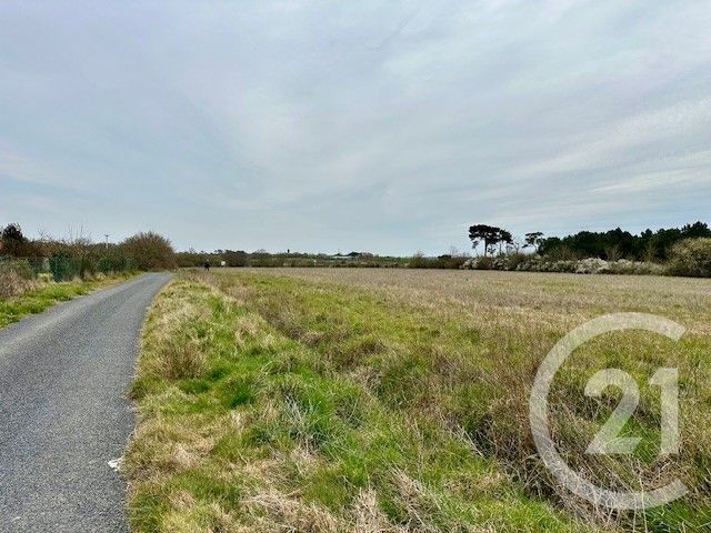 Terrain à vendre - 333 m2 - Givrand - 85 - PAYS-DE-LOIRE