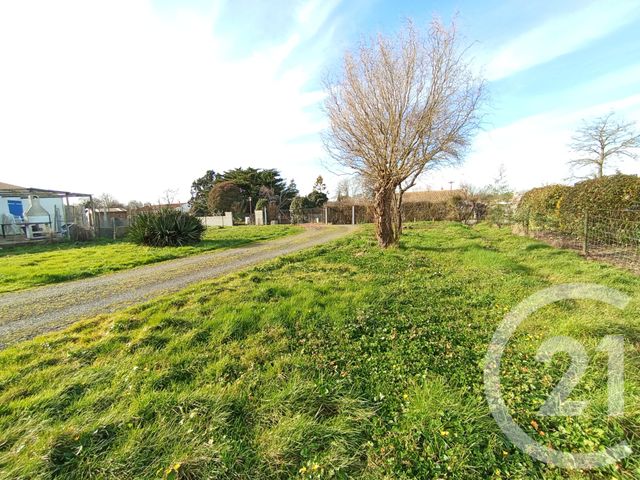 Terrain à vendre - 800 m2 - Le Fenouiller - 85 - PAYS-DE-LOIRE