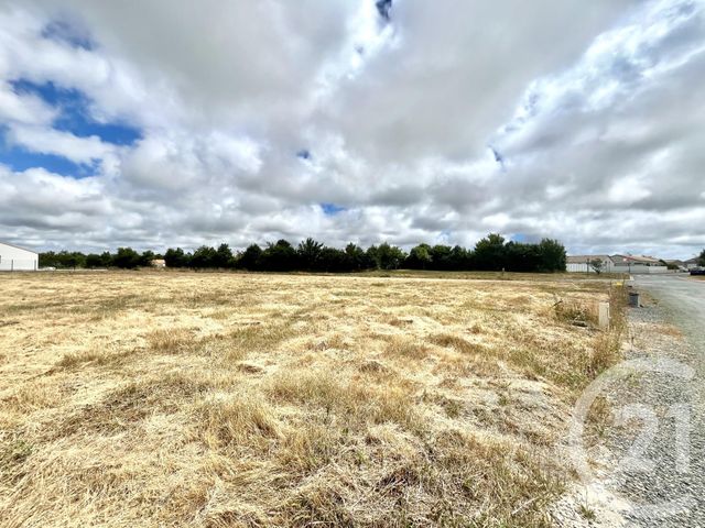 Terrain à vendre - 582 m2 - L Aiguillon Sur Vie - 85 - PAYS-DE-LOIRE