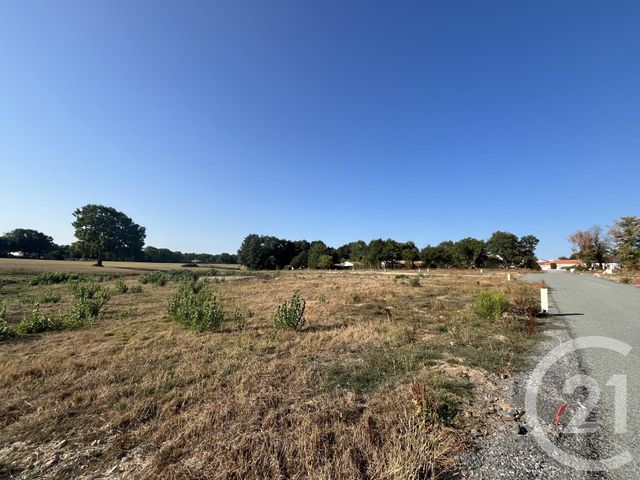 Terrain &agrave; vendre - 455 m2 - Coex - 85 - PAYS-DE-LOIRE