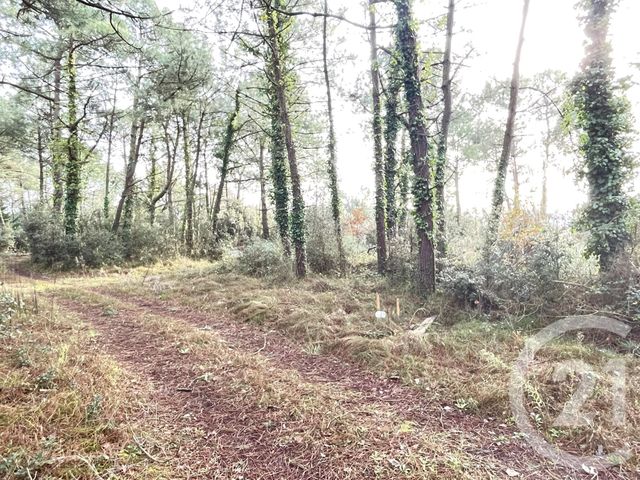 Terrain à vendre - 553 m2 - St Jean De Monts - 85 - PAYS-DE-LOIRE