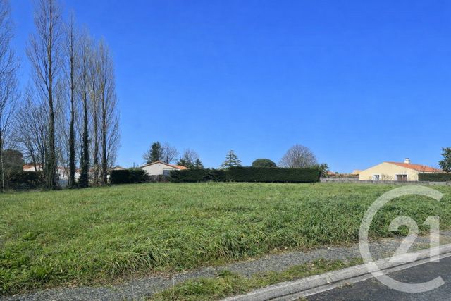 terrain - COMMEQUIERS - 85