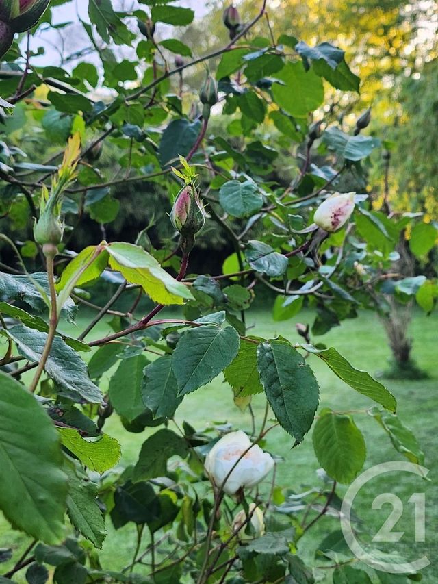 Maison &agrave; vendre - 9 pi&egrave;ces - 235 m2 - St Reverend - 85 - PAYS-DE-LOIRE