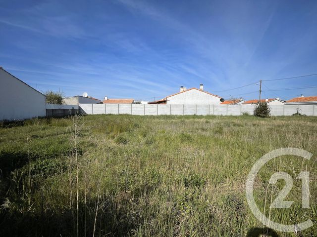 terrain - ST HILAIRE DE RIEZ - 85