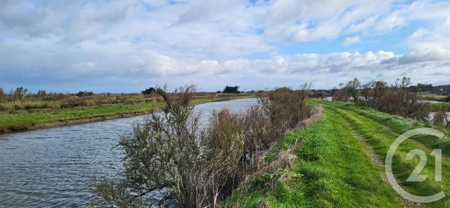 Terrain à vendre - 15320 m2 - St Hilaire De Riez - 85 - PAYS-DE-LOIRE