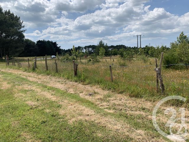 Terrain à vendre - 2010 m2 - St Hilaire De Riez - 85 - PAYS-DE-LOIRE