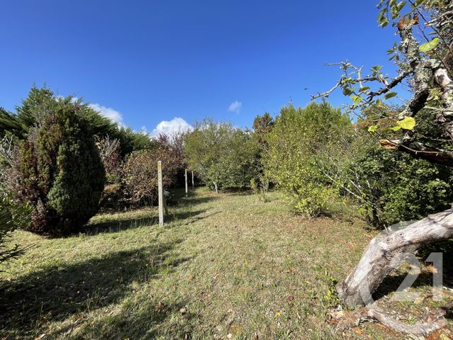 Terrain à vendre - 564 m2 - St Hilaire De Riez - 85 - PAYS-DE-LOIRE