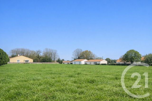terrain - COMMEQUIERS - 85