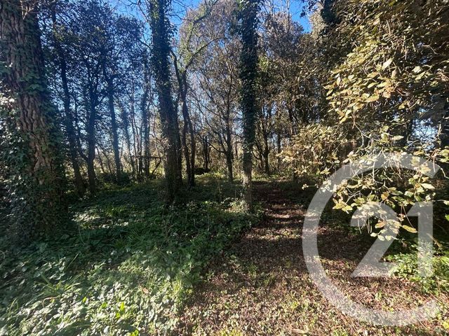 Maison &agrave; vendre - 4 pi&egrave;ces - 141 m2 - Commequiers - 85 - PAYS-DE-LOIRE