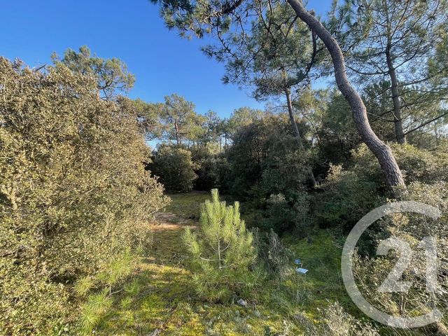 Terrain à vendre ST HILAIRE DE RIEZ