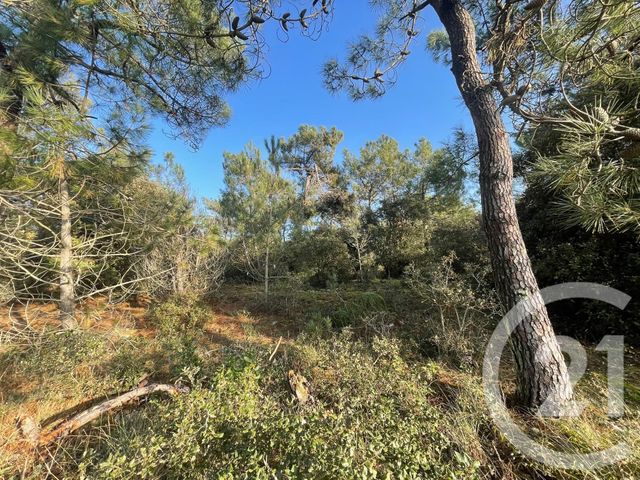 Terrain &agrave; vendre - 1100 m2 - St Hilaire De Riez - 85 - PAYS-DE-LOIRE