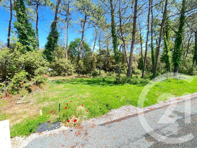 Terrain &agrave; vendre - 553 m2 - St Jean De Monts - 85 - PAYS-DE-LOIRE