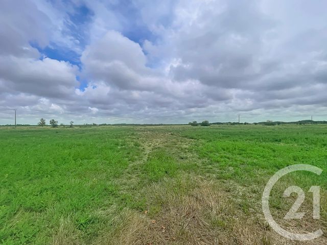 Maison &agrave; vendre - 5 pi&egrave;ces - 190 m2 - St Hilaire De Riez - 85 - PAYS-DE-LOIRE